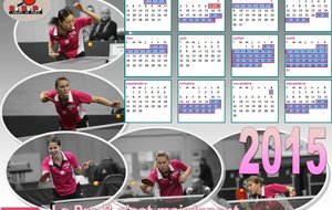 Meilleurs voeux 2015 de la part de l' Entente Saint Pierraise Tennis de Table