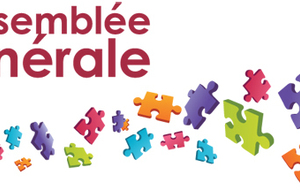 Assemblée Générale Extraordinaire 2016