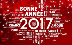 Meilleurs voeux 2017