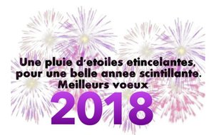 Meilleurs voeux 2018