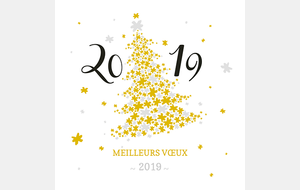 Meilleurs voeux 2019