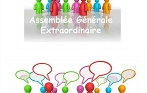 Assemblées Générales extraordinaire et ordinaire  2019