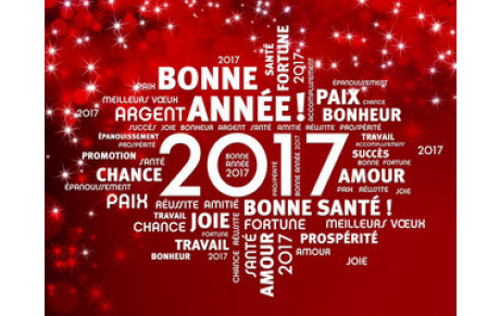 Meilleurs voeux 2017