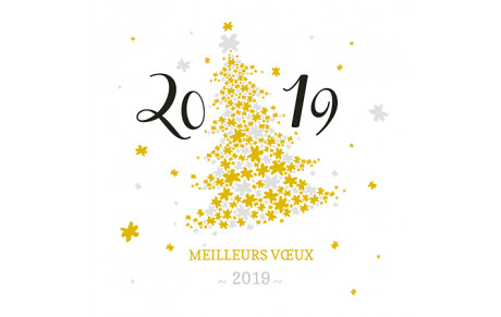 Meilleurs voeux 2019