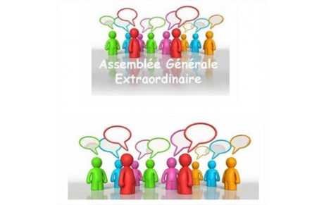 Assemblées Générales extraordinaire et ordinaire  2019