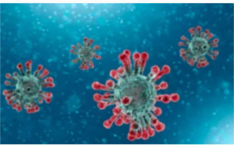CORONAVIRUS : Stop aux compétitions individuelles et par équipes