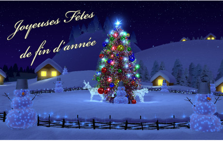 Bonnes fêtes de fin d'année 2020