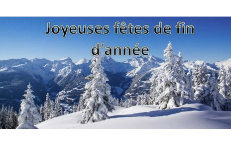 Bonnes fêtes de fin d'année